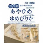 令和5年産　特別栽培米あやひめ・ゆめぴりか　無洗米　各2kg×2袋