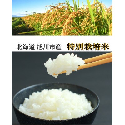 【2024年6月上旬発送】令和5年産特別栽培米あやひめ・ゆめぴりか無洗米各2kg×2袋_02076
