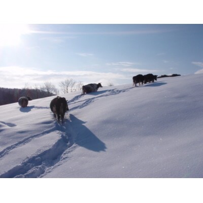 斉藤牧場の山地自然放牧 黒豆ソフトアイス 5個セット_01842