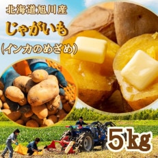 北海道旭川産 じゃがいも(インカのめざめ) 5kg | ふるさと納税のお礼品