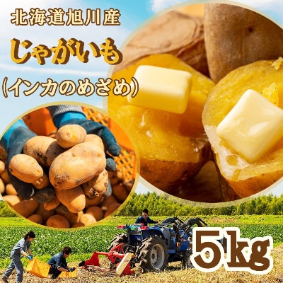 北海道旭川産 じゃがいも インカのめざめ 5kg お礼品詳細 ふるさと納税なら さとふる 北海道旭川産 じゃがいも インカのめざめ 5kg お礼品詳細 ふるさと納税なら さとふる