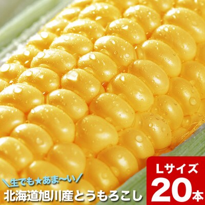 【先行受付】【20本(合計約6kg)Lサイズ】生でもあま～いとうもろこし(黄色)_01674
