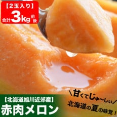 【先行受付】北海道産赤肉メロン3kg前後2玉入2024年8月上旬から順次発送開始予定_01979