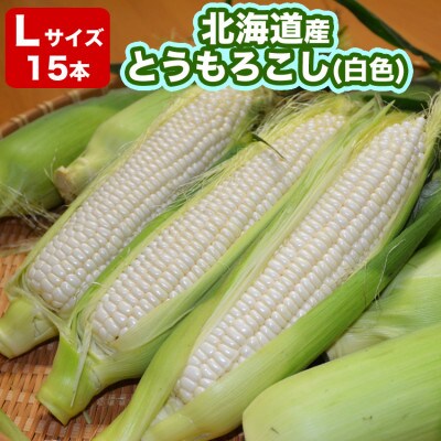 【先行受付】北海道産とうもろこし白色Lサイズ15本2023年8月中旬から順次発送開始予定_01978