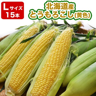 【先行受付】北海道産とうもろこし黄色Lサイズ15本2023年8月中旬から順次発送開始予定_01977