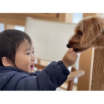 〈犬用・ドッグフード〉獣医と作ったえぞ鹿肉霊芝の総合栄養食　半なまタイプ_01544