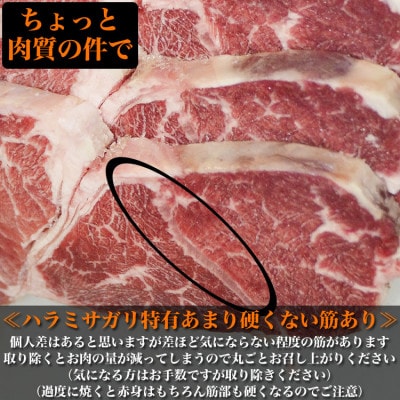 牛ハラミコスパ