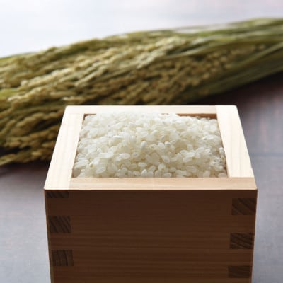 【特Aランク】令和5年産米北海道産ななつぼし合計10kg5kg×2袋【旭川市産】_01692