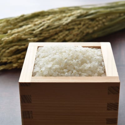 【特Aランク】令和5年北海道産ゆめぴりか・ななつぼし食べ比べ計10kg各5kg_01689