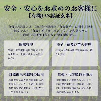 【令和4年産・有機JAS認証玄米・真空パック】あさひかわ産　ななつぼし玄米　2kg×3袋_01812