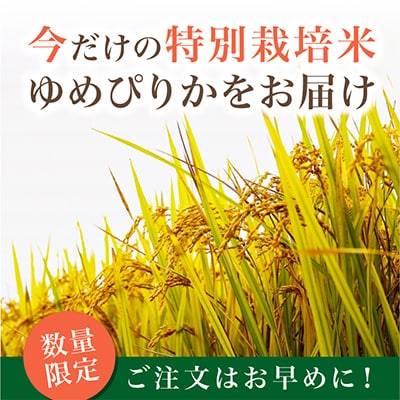 【令和6年産米】数量限定特別栽培米ゆめぴりか玄米30kg×1袋_00236