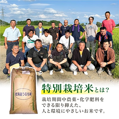 【令和6年産米】数量限定特別栽培米ゆめぴりか玄米30kg×1袋_00236
