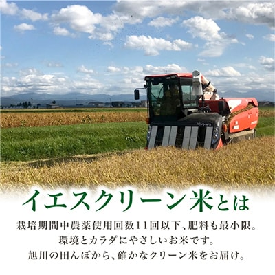 【令和6年産米】数量限定イエスクリーン米ななつぼし　玄米30kg×1袋_00217