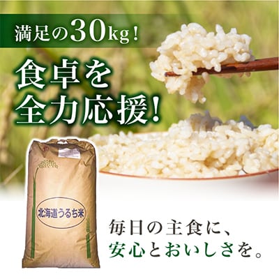 【令和6年産米】数量限定イエスクリーン米ななつぼし　玄米30kg×1袋_00217