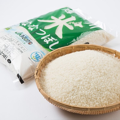 令和7年産北海道旭川市産特Aななつぼし(精米)5kg_05667