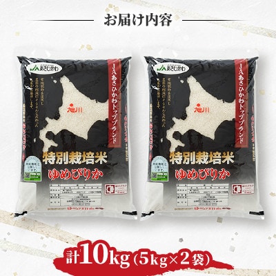 【令和7年産米】北海道旭川市産 特A ゆめぴりか 新米(精米)5kg×2袋_05664