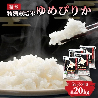 【令和7年産米】北海道旭川市産 特A ゆめぴりか 新米(精米)5kg×4袋_05663