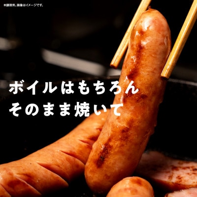 【ふるさと納税】シャウエッセン 117g x 2束 12パック 北海道 旭川 レンチン _00175