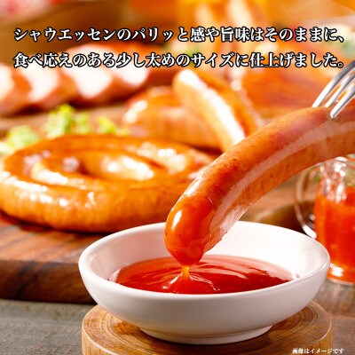【ふるさと納税】 シャウエッセン 6点 セット 2種の オリジナルソース 日本ハム 贈答_03447