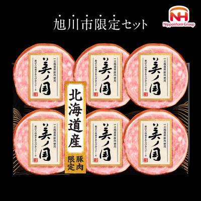 【ふるさと納税】 日本ハム 北海道プレミアム 美ノ国 あらびきステーキ 6点セット 贈答_03448