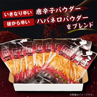 【北海道旭川市製造】北の大手門 ハバネロ塩ホルモン 激辛 ホルモン 180g×8パック_01450
