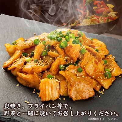 【北海道旭川市製造】北の大手門 ハバネロ塩ホルモン 激辛 ホルモン 180g×8パック_01450