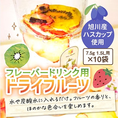 フレバードリンク用「旭川ハスカップ入り無添加ドライフルーツ」7.5g1.5L用10袋_01694