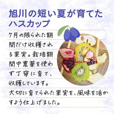 フレバードリンク用「旭川ハスカップ入り無添加ドライフルーツ」7.5g1.5L用10袋_01694