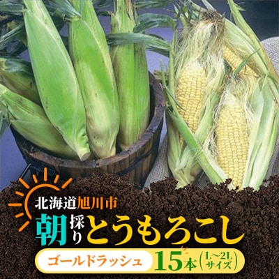 【2026年発送】朝採りとうもろこしゴールドラッシュL～2L×15本_01707