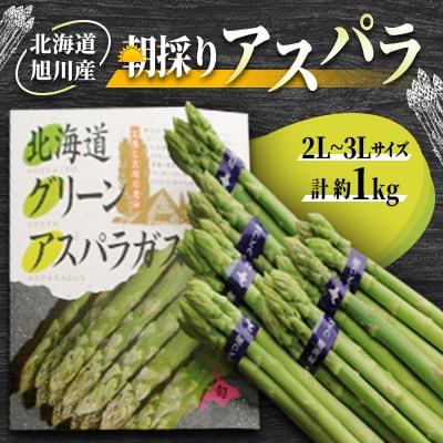 【2026年発送】朝採りアスパラ(2L～3Lサイズ)　約1kg_01704