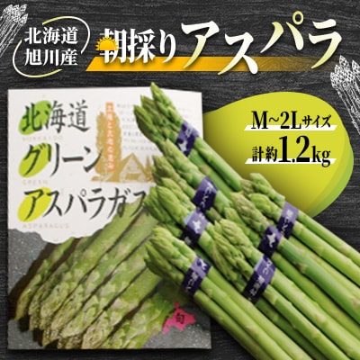 【2026年発送】朝採りアスパラ(M～2Lサイズ)　約1.2kg_01705