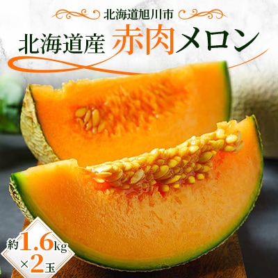 北海道産赤肉メロン約1.6kg×2玉_02061 | 北海道旭川市