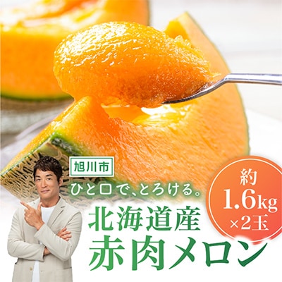 北海道産赤肉メロン約1.6kg×2玉_02061