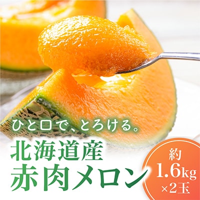 【2026年発送】北海道産赤肉メロン約1.6kg×2玉_02061