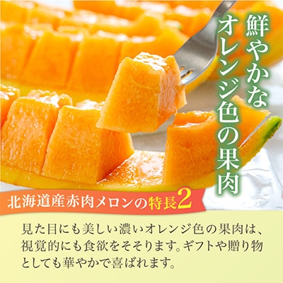北海道産赤肉メロン約1.6kg×2玉_02061