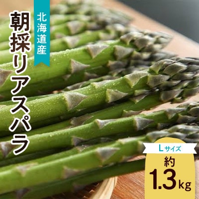 先行受付　朝採りアスパラ　Lサイズ　約1.3kg_01706