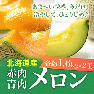 【2026年発送】北海道産赤肉・北海道産青肉メロン2玉セット(約1.6kg×2玉)_02062
