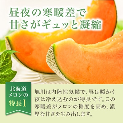 先行受付　北海道産赤肉・北海道産青肉メロン2玉セット(約1.6kg×2玉)_02062