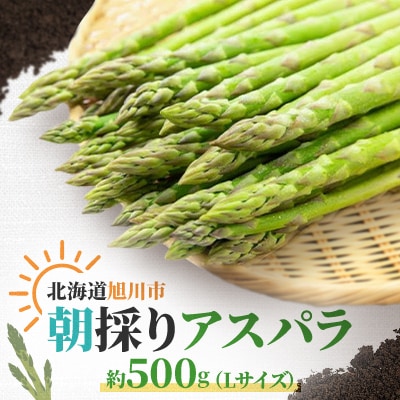 【先行予約】朝採りアスパラ　約500g(Lサイズ)_04657