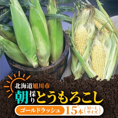 【2026年発送】朝採りとうもろこしゴールドラッシュ(M～Lサイズ15本)_03903