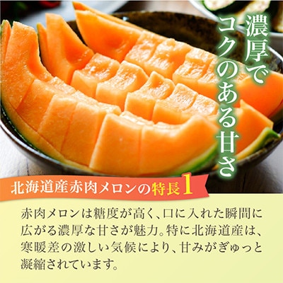 【2026年発送】北海道産赤肉メロン・小玉スイカ(約1.6kg×各1玉)_02064