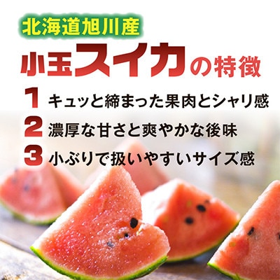 【2026年発送】北海道産赤肉メロン・小玉スイカ(約1.6kg×各1玉)_02064