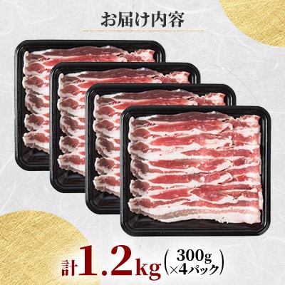 【旭川産ブランド豚】希少部位!笹豚バラ1.2kg(300g×4パック)_01181