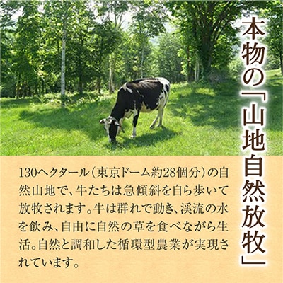 斉藤牧場の山地自然放牧牛乳　900ml×2本セット_01162