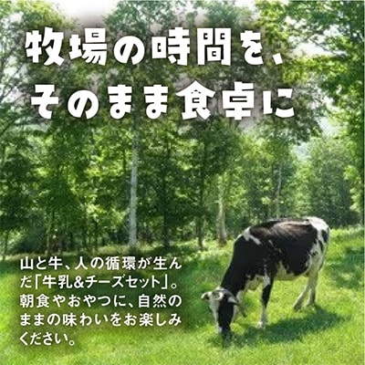 斉藤牧場の山地自然放牧牛乳・チーズセット_00579