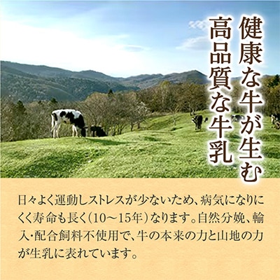 【毎月定期便】斉藤牧場の山地自然放牧牛乳 900ml×2本セット _00576_全3回