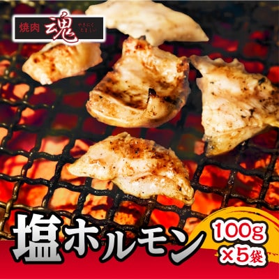 焼肉　魂　塩ホルモン100g×5袋_04954