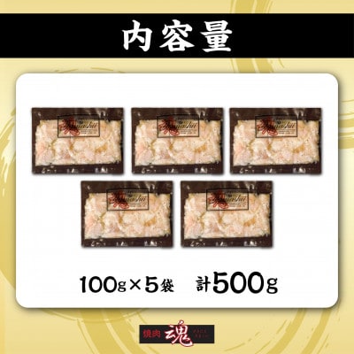 焼肉　魂　塩ホルモン100g×5袋_04954