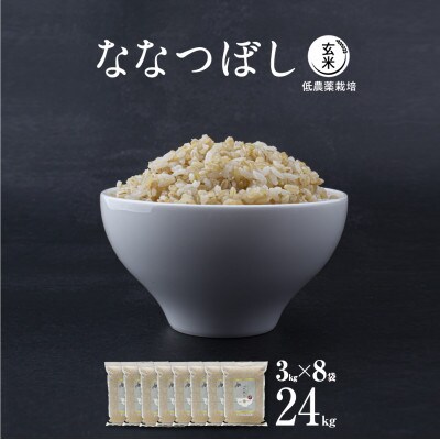 【令和6年産・低農薬栽培・真空パック・玄米】 あさひかわ産 ななつぼし玄米 3㎏×8袋 脱酸素剤入