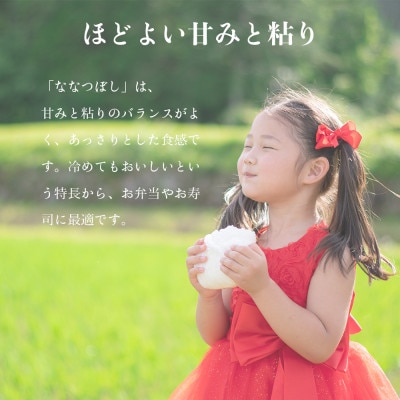 【令和6年産・無洗米・真空パック・低農薬栽培】 あさひかわ産 ななつぼし 2kg×3袋_03138